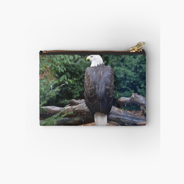 Item preview, National Aviary Pittsburgh Series - 5 designed and sold by sarahshanely.