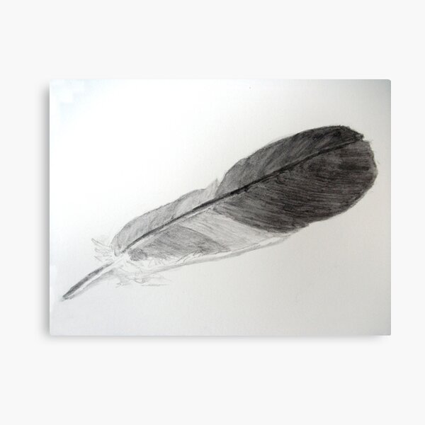 Feather for Drawing Day Canvas Print