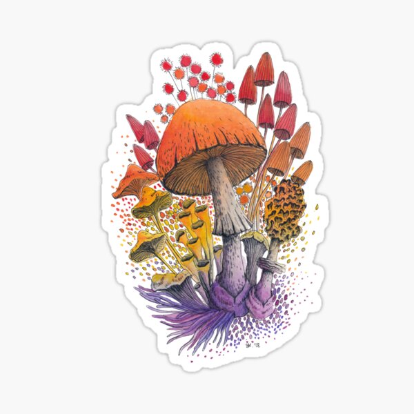 Mushroom Composition #1 | Watercolor Illustration Sticker