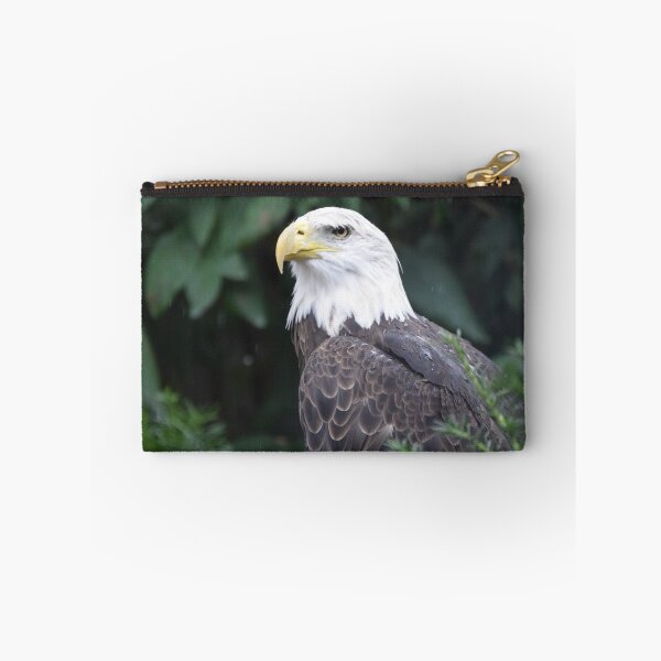 Item preview, National Aviary Pittsburgh Series - 7 designed and sold by sarahshanely.