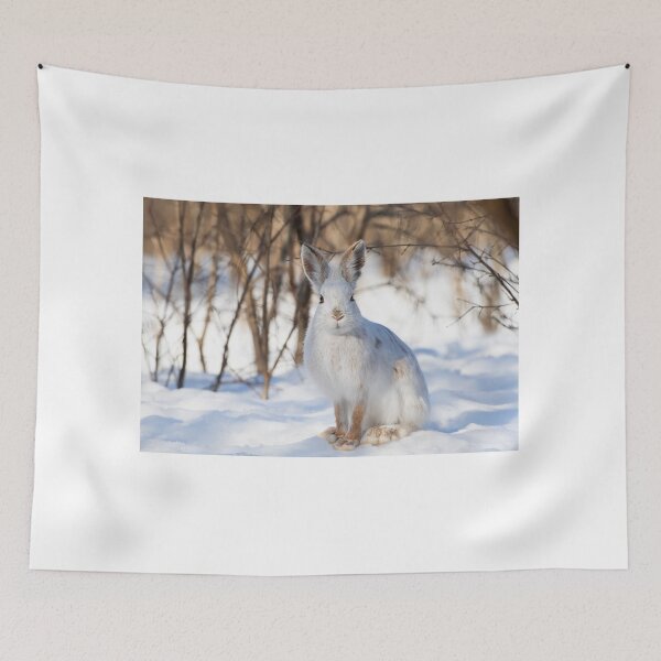 Item preview, Snowshoe hare designed and sold by James Cumming.