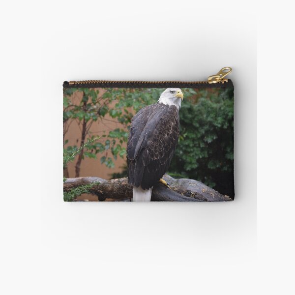 Item preview, National Aviary Pittsburgh Series - 10 designed and sold by sarahshanely.