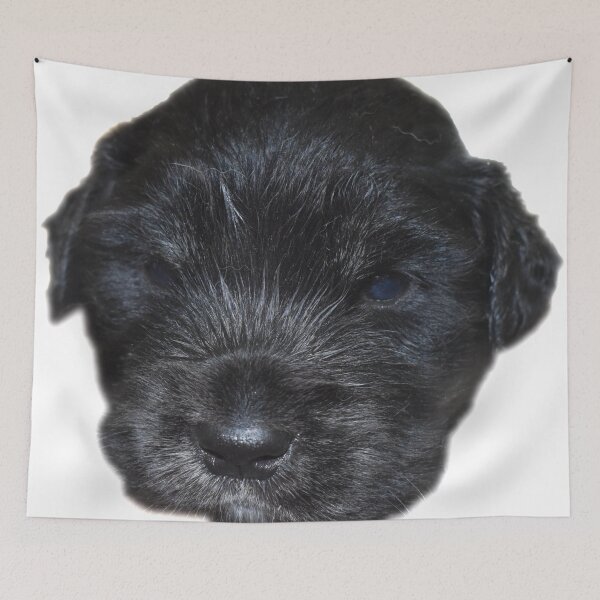 Item preview, Pup designed and sold by Blokey Aarsevark.