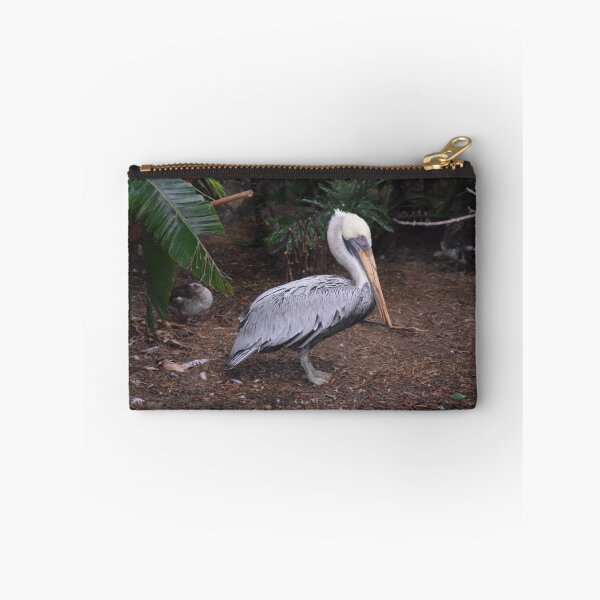 Item preview, National Aviary Pittsburgh Series - 12 designed and sold by sarahshanely.