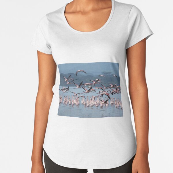 Flamingoes in flight  Premium Scoop T-Shirt