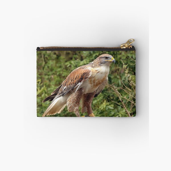 Item preview, Ferruginous Hawk {Buteo Regalis} designed and sold by Philip Butler.