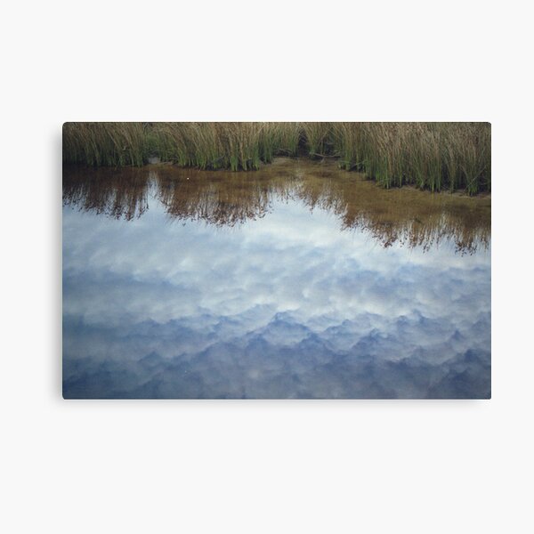 cloudy creek Canvas Print