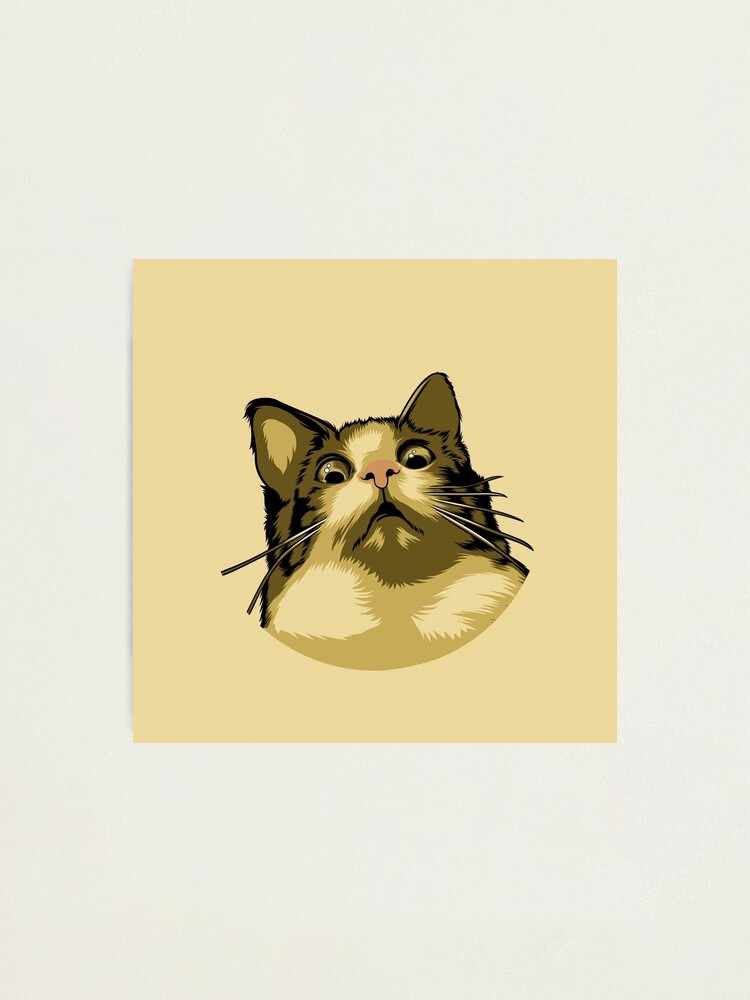 Cat Meme Coaster Funny Striped Cat Coaster Surprised Kitty 