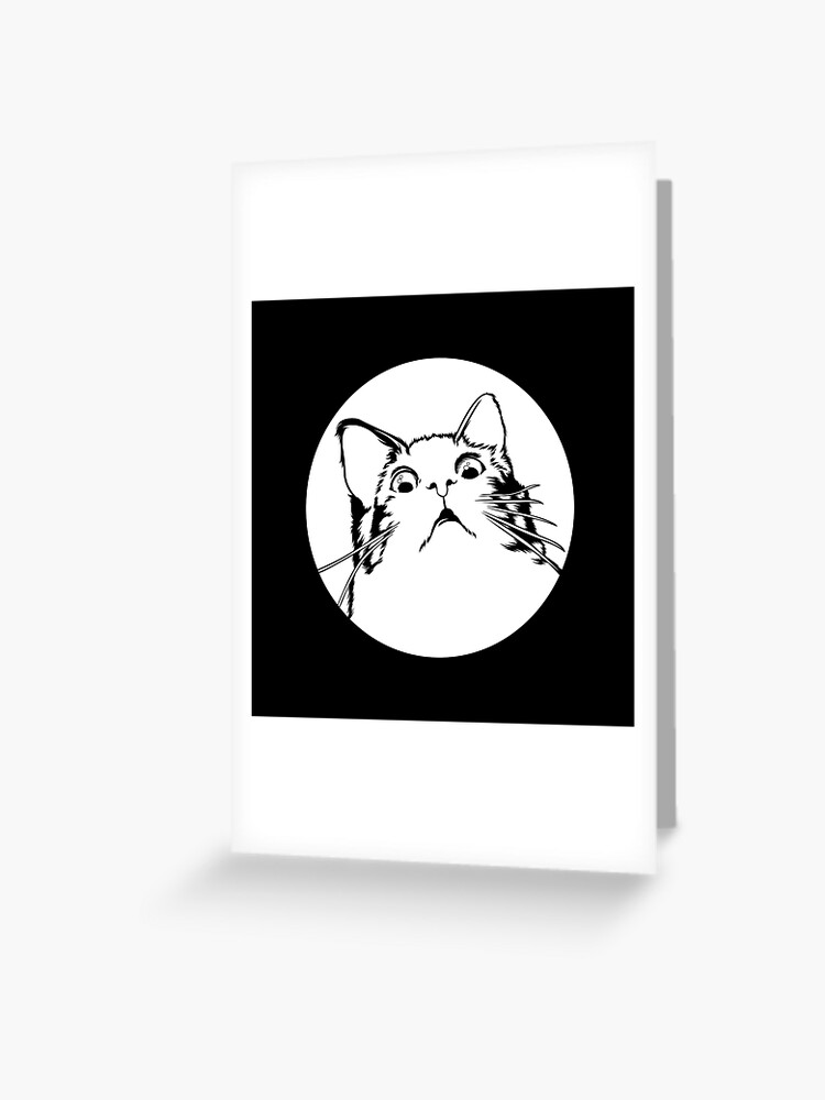 Carte De Vœux Surpris Choque Chat Drole Internet Meme Par Finestmeme Redbubble