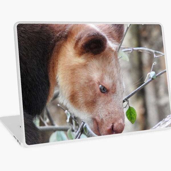 Goodfellow's Tree-Kangaroo in profile Laptop Skin