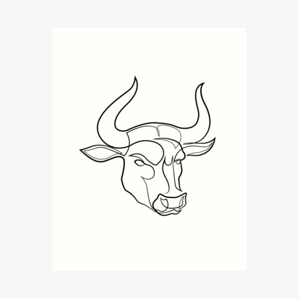 simple bull line drawing