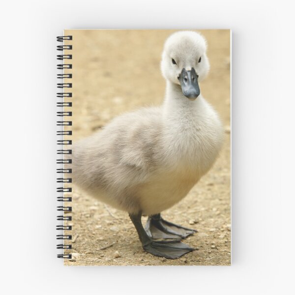 Item preview, Cygnet designed and sold by MendipBlue.