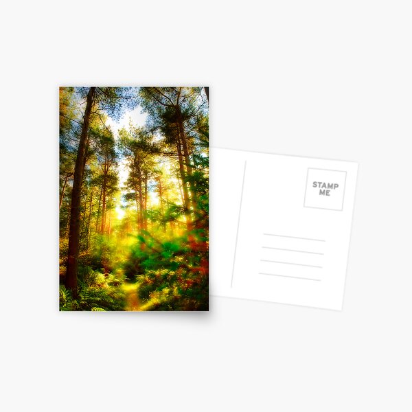 Shady Grove Postcard