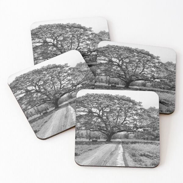 Majestic Coasters (Set of 4)
