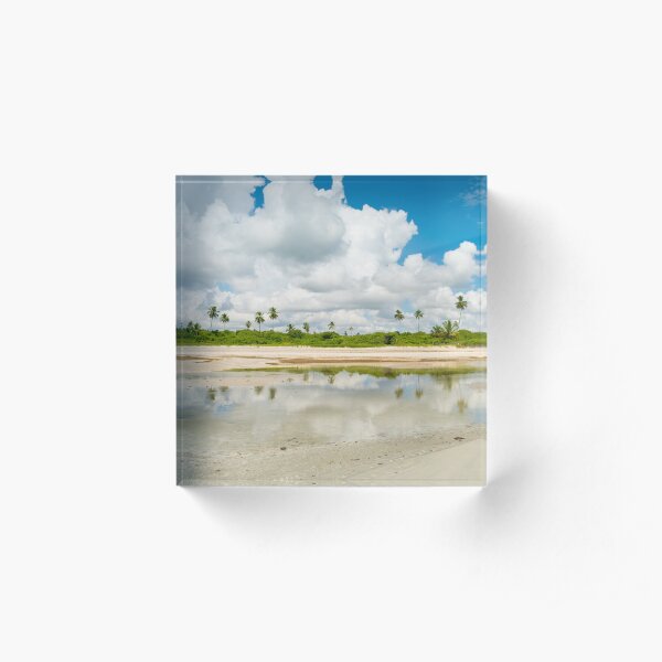 Coconut trees reflection Acrylic Block