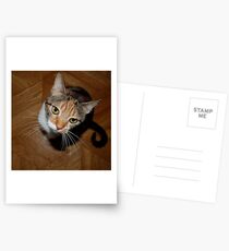 Looking Sweet Postcards
