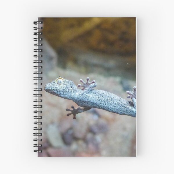 Item preview, Levitation designed and sold by Kristin Osani.
