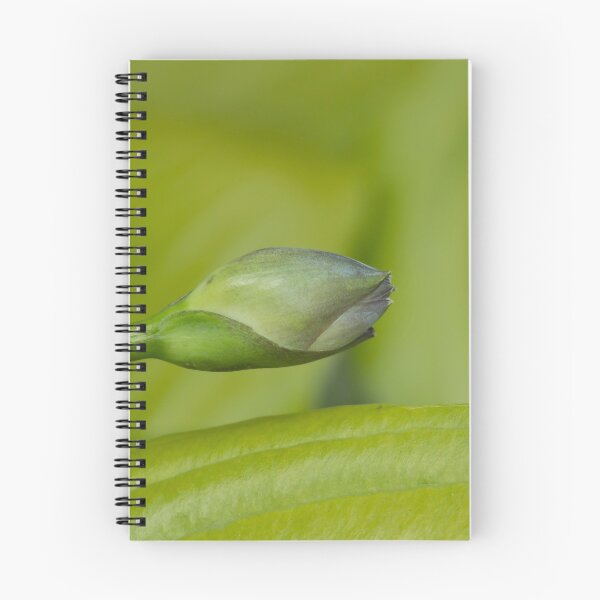 Item preview, Tickle designed and sold by EugeJ.