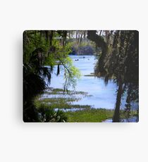 The Rainbow River Metal Print