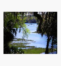 The Rainbow River Photographic Print