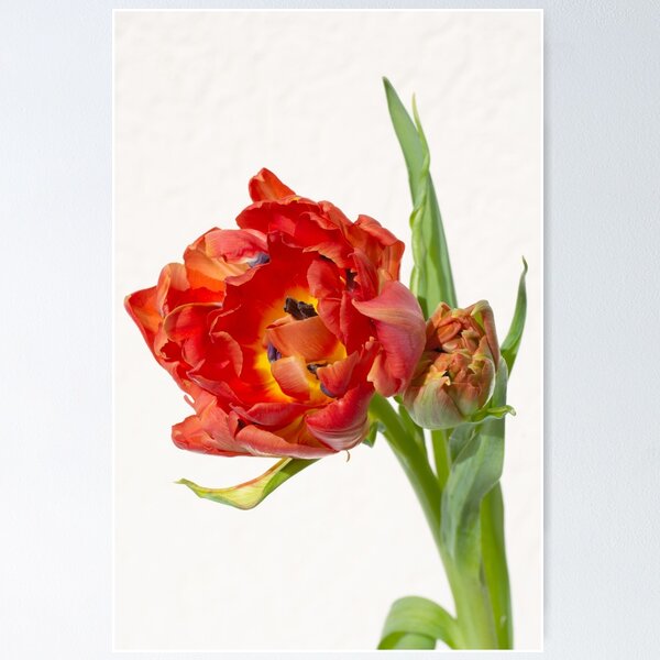 Item preview, Closely Entwined designed and sold by Kasia Design.