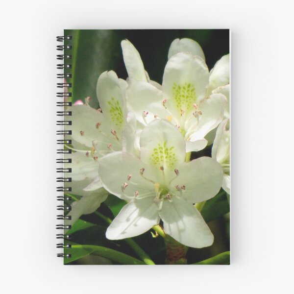 Item preview, American Rhododendron designed and sold by Jean Gregory Evans.