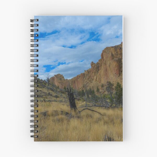 Item preview, Stumped designed and sold by Kristin Osani.