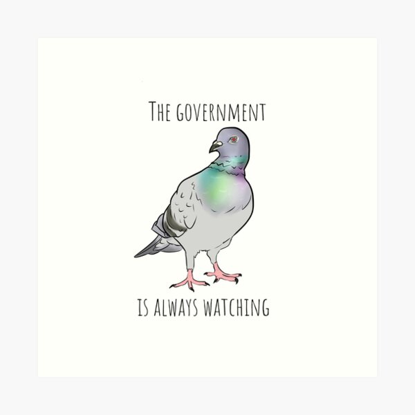 Birds Aren't Real Art Print