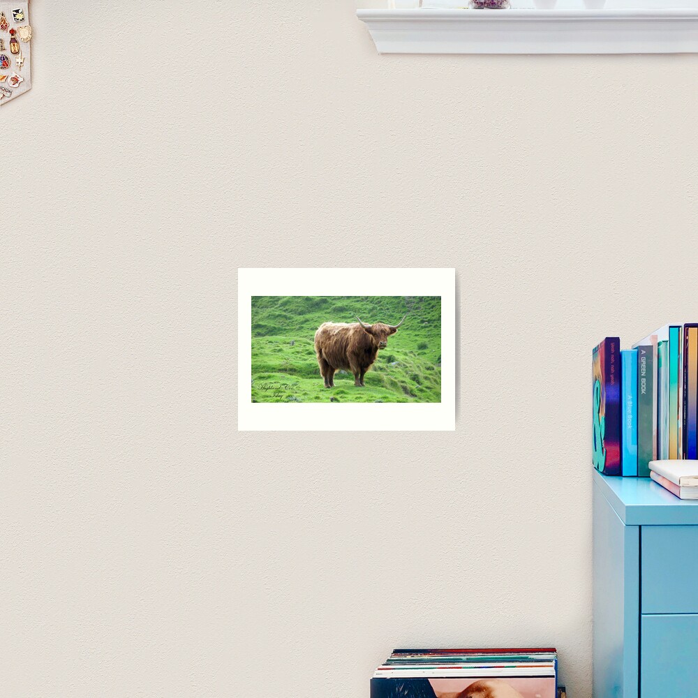 Highland Coo Art Print