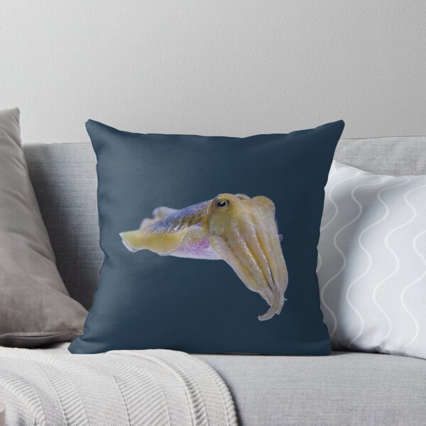 Item preview, Cuttlefish Stare designed and sold by Garrett Fisher.