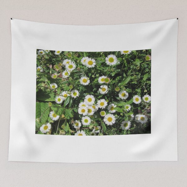 Item preview, Wall Daisies In My Garden (Erigeron) designed and sold by lezvee.