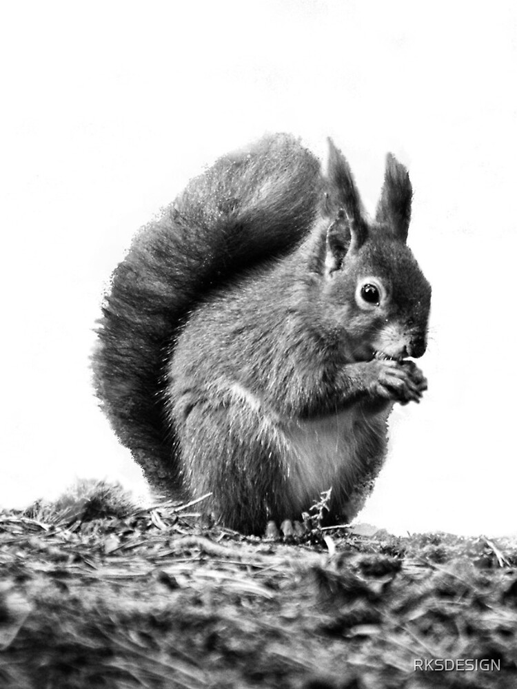 Thumbnail 4 of 4, iPhone Case, Red Squirrel designed and sold by RKSDESIGN.