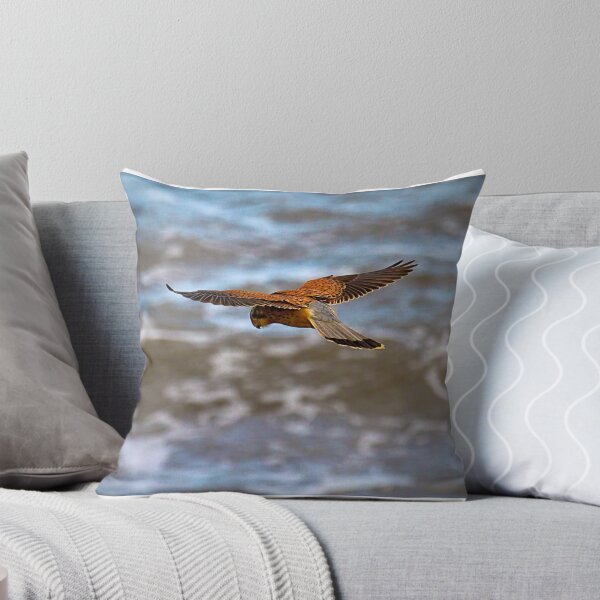 Item preview, Kestrel over the sea designed and sold by Violaman.