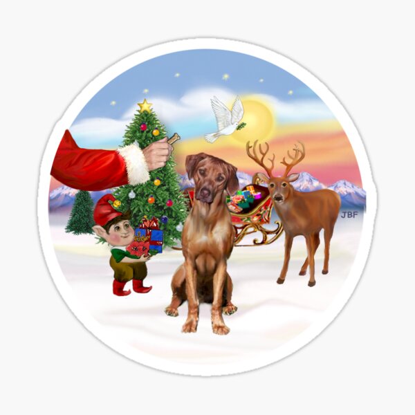Santa's Treat for his Rhodesian Ridgeback Sticker