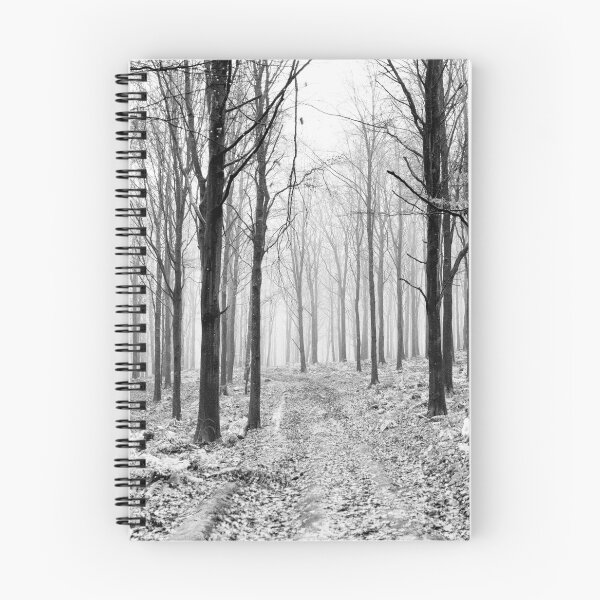 Item preview, Foggy Day in the Forest, Gala Hill, Galashiels, Scottish Borders designed and sold by Iain MacLean.