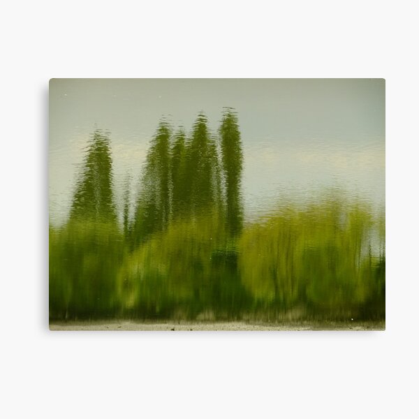 Lunch time Impressionism Canvas Print