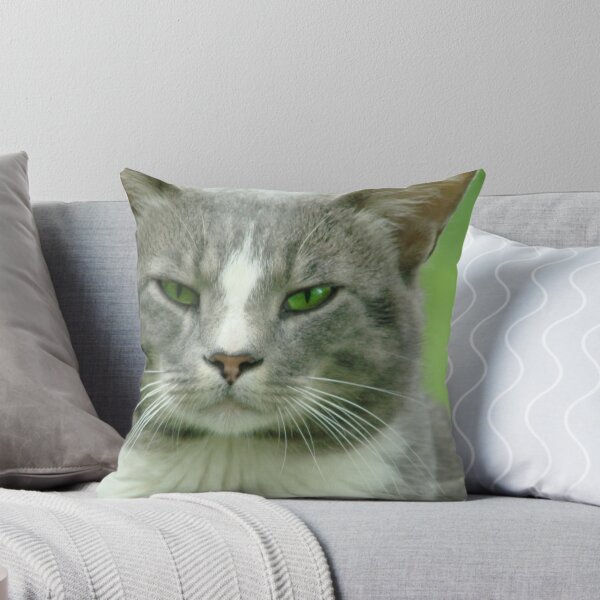 Item preview, Please, Please, please ... please? designed and sold by Jean Gregory Evans.