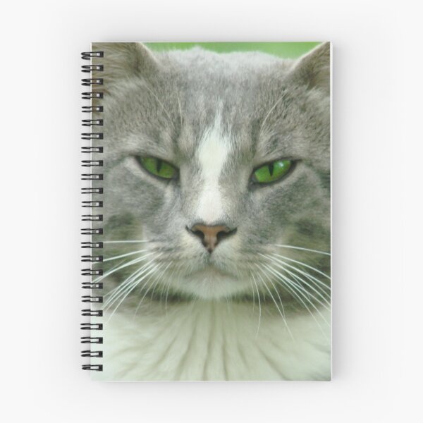 Item preview, Please, Please, please ... please? designed and sold by Jean Gregory Evans.