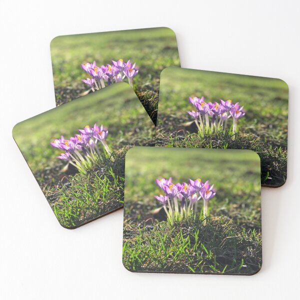Item preview, Eye Level with Spring  designed and sold by Chris Coates Photography.com.