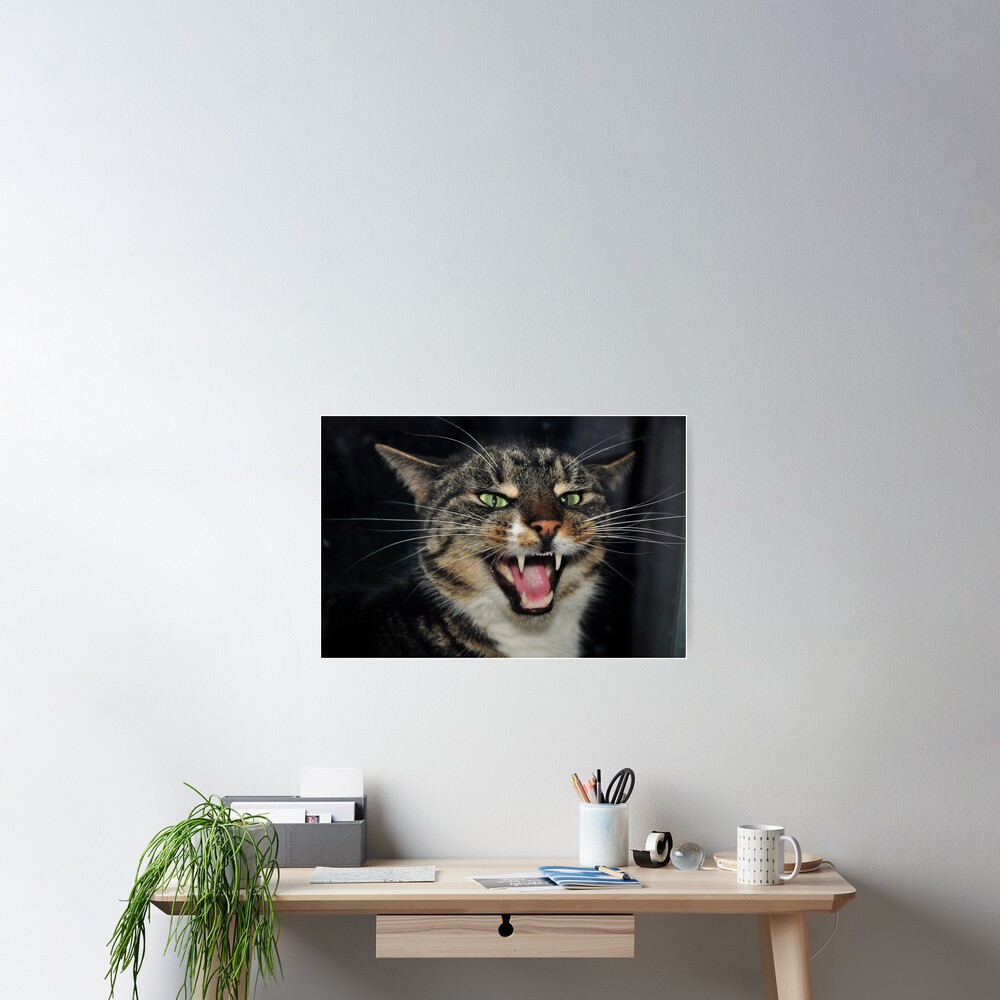 Hear Me Roar Poster