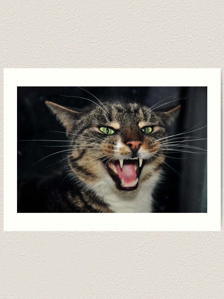 Alternate view of Hear Me Roar Art Print