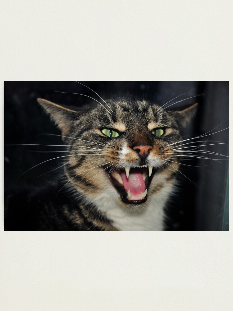Alternate view of Hear Me Roar Photographic Print
