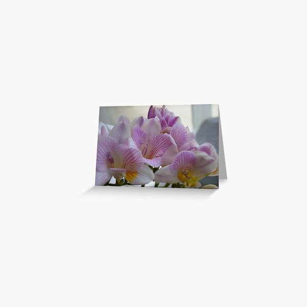 Scented Freesias Greeting Card