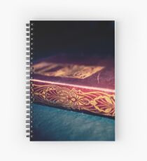Tale of Intrigue Spiral Notebook