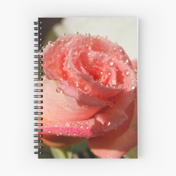 Item preview, Salmon Tinged Rose designed and sold by Kashmere1646.