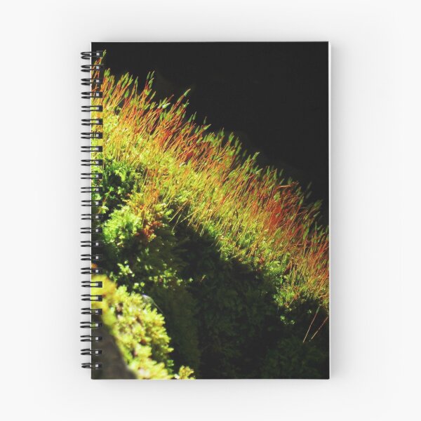 Item preview, Fire Moss designed and sold by Jean Gregory Evans.