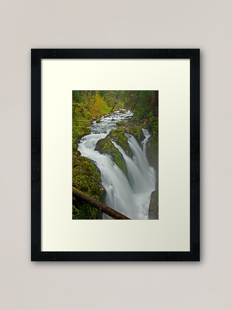 Alternate view of Sol Duc in the Mist Framed Art Print