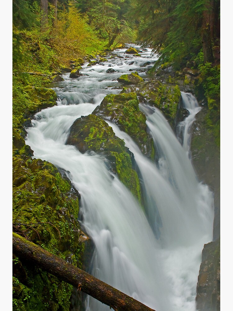 Sol Duc in the Mist by LumenLux
