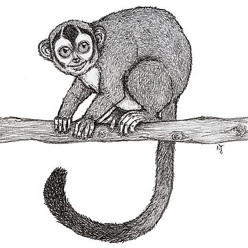 Bosquejo del mono nocturno por Nicole Janes Tarjetas de felicitación