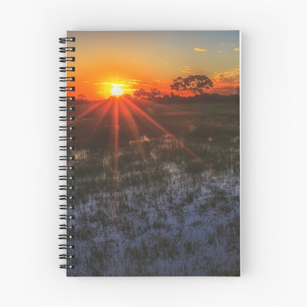 Item preview, Reflecting on a Duba Plains sunset designed and sold by Owed To Nature.
